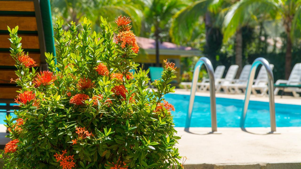 Hotel Isolina Beach Potrero  Kültér fotó